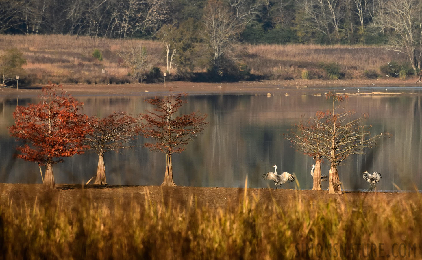 [400 mm, 1/4000 Sek. bei f / 9.0, ISO 1600]